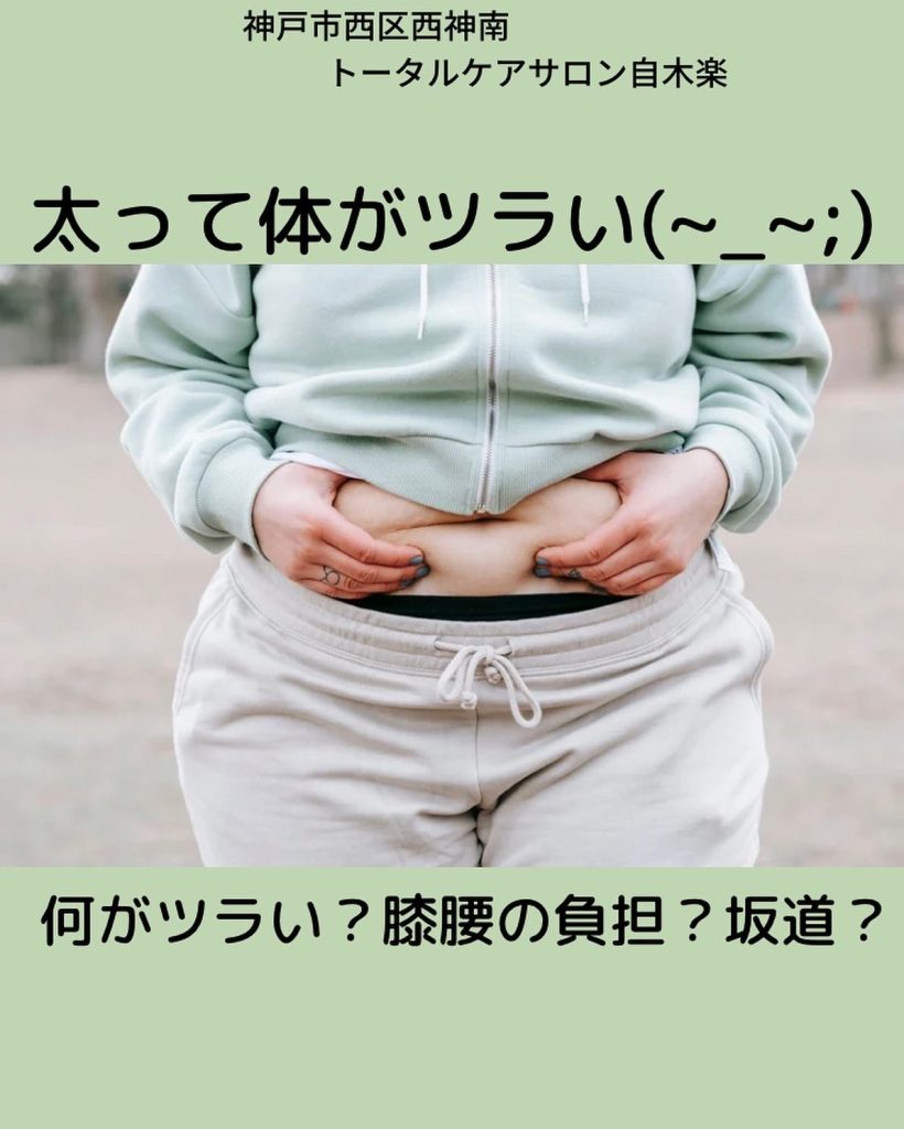 神戸市西区ダイエット　西神南ダイエット　耳つぼダイエット　耳ツボダイエット　体質改善ダイエット　脂肪を落とす　運動なしダイエット　リバウンドなし
